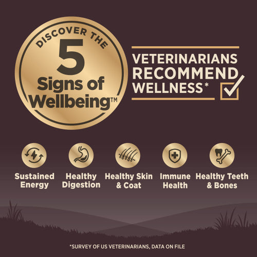 Wellness CORE Grain Free Senior Turkey Recipe Dog Food