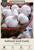 Netherland Bulb Company Softneck Seed Garlic - Artichoke Type
