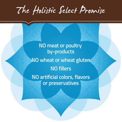 Holistic Select Natural Adult Health Anchovy, Sardine, and Salmon Meal Recipe Dry Dog Food