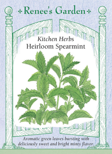 Renee's Garden Heirloom Spearmint
