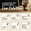 Primal Pet Foods Freeze-Dried Raw Nuggets Dog FoodDuck Recipe