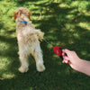 Nite Ize RadDog™ Retractable Pocket Leash