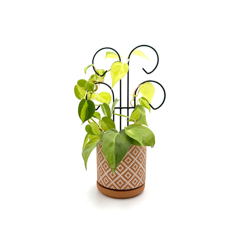 Bosmere Houseplant Trellis- 24 Scroll Pot Trellis