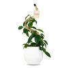 Mossify The Original Bendable Coir Pole™