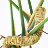 Mossify The Original Bendable Moss Pole™