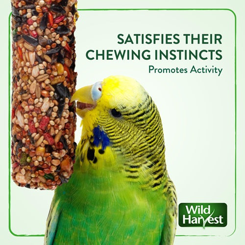 Wild Harvest Treat Stick with Tough Core for Small and Medium Birds Treats