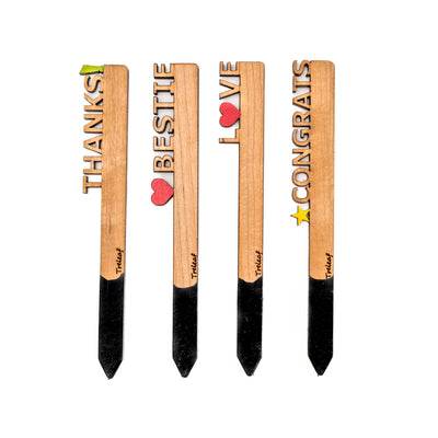 Treleaf Celebration Stake - Writable stake for plant gift