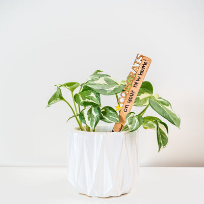 Treleaf Celebration Stake - Writable stake for plant gift