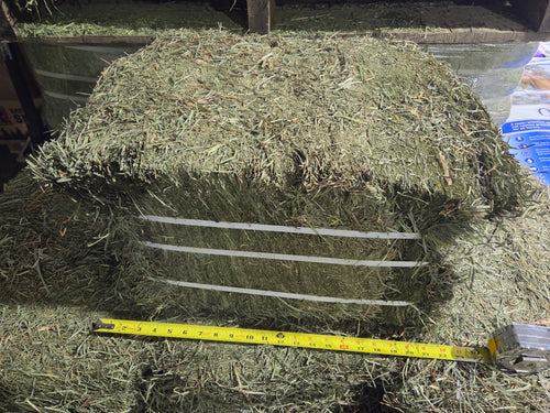 2nd Cut Compressed Hay  - Uploaded Image