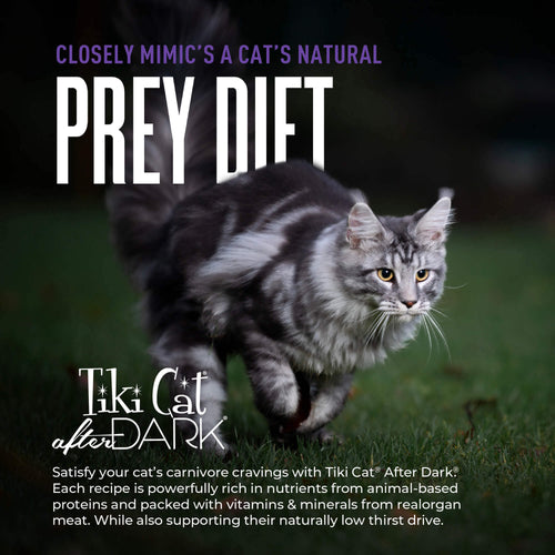 Tiki Cat After Dark Shreds Chicken, Quail & Chicken Liver Recipe in Broth Wet Cat Food
