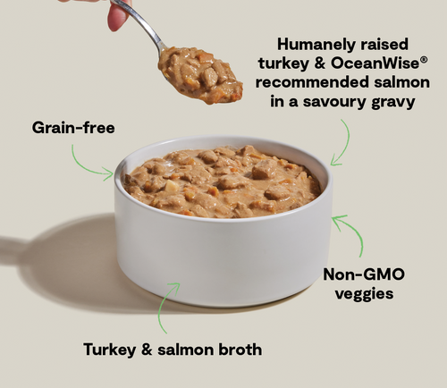 Open Farm Turkey & Salmon Hearty Stew Wet Dog Food
