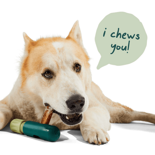 Woof Free Range Bully Sticks