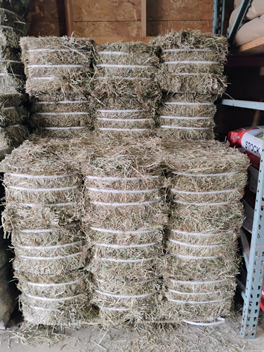 1st Cut Compressed Hay