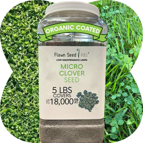 Flawn Micro Clover Seed