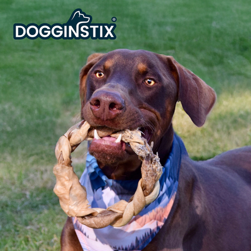 Dogginstix Braided Lamb Collagen Ring Dog Treats - Case of 40