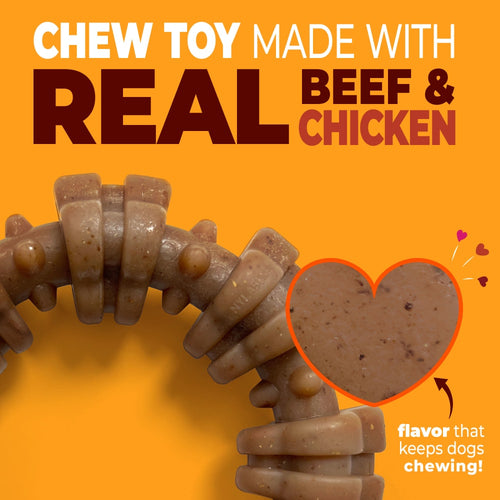 Nylabone Strong Chew Textured Ring Dog Chew Toy