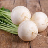 Botanical Interests Turnip White Lady