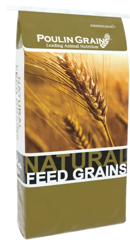 Poulin Grain Soybean Meal