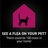 Nextstar NextStar® Flea & Tick Topical for Cats
