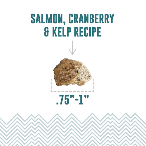 Icelandic+ Salmon, Cranberry & Kelp Recipe Soft & Chewy Bites for Dogs