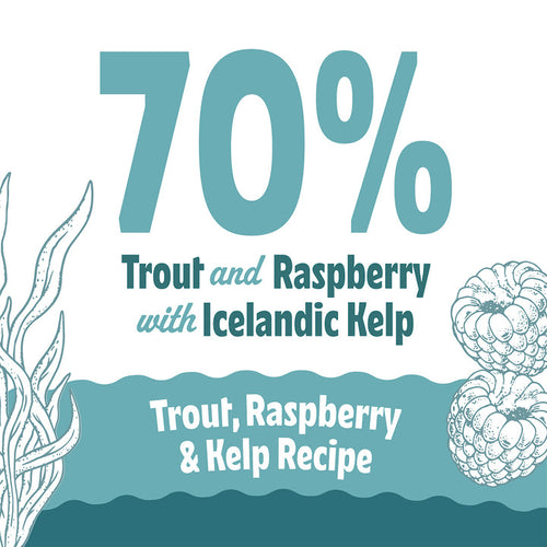 Icelandic+ Trout, Raspberry & Kelp Recipe Soft & Chewy Bites for Cats