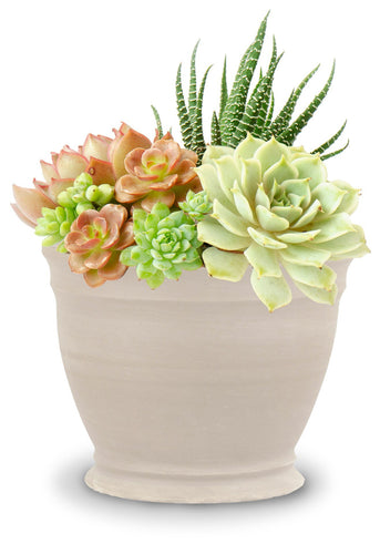 Ceramo Company Inc  10.25 White Granite Clay Pot