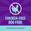 Wellness Complete Health Natural Dry Dog Food Whitefish and Sweet Potato Recipe