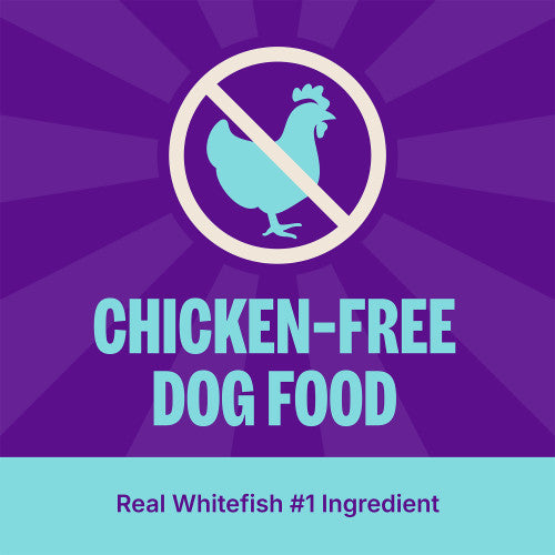 Wellness Complete Health Natural Dry Dog Food Whitefish and Sweet Potato Recipe