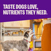 Wellness Complete Health Chicken & Oatmeal Dry Dog Food