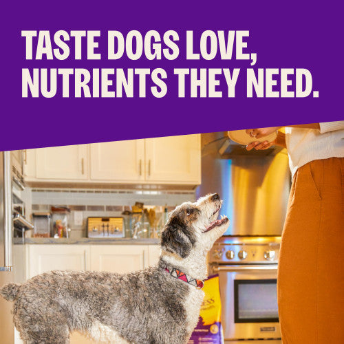 Wellness Complete Health Whitefish & Sweet Potato Recipe Dry Dog Food