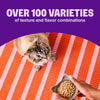 Wellness CORE® Signature Selects® Shredded Boneless Chicken & Quail Egg Entrée in Sauce Wet Cat Food
