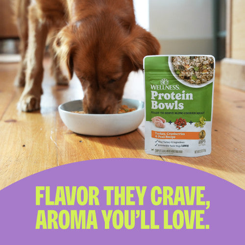 Wellness Protein Bowls  Beef, Red Pepper & Egg Wet Dog Food