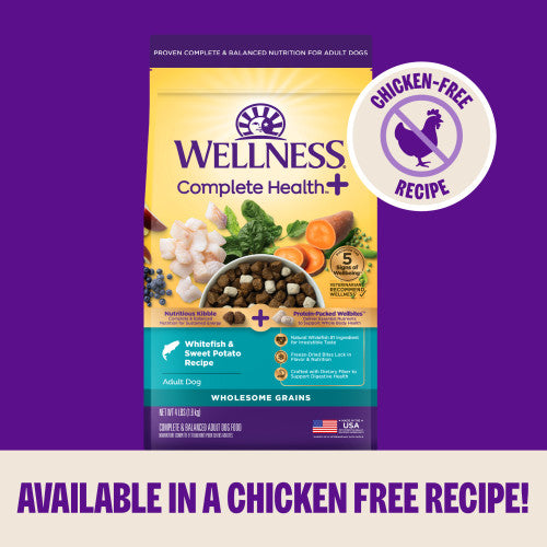 Wellness Complete Health+ Small Breed Dry Dog Food Turkey & Oatmeal Recipe
