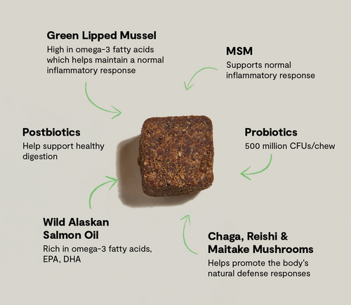 Open Farm Multi+ Supplement Chews for Dogs