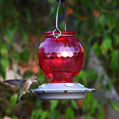 Nature's Way EcoCycle™ Crimson Comb Recycled Glass Hummingbird Feeder