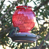 Nature's Way EcoCycle™ Crimson Comb Recycled Glass Hummingbird Feeder