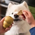 KONG Classic Gold Dog Toy