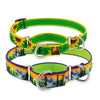 LupinePet Original Designs Martingale Collar for Training