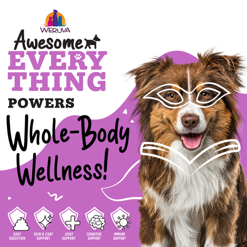 Weruva Awesome Everything Super Beef Bone Broth