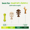 Benebone Green Fishbone Plant-Based Dog Toy for Moderate Chewers