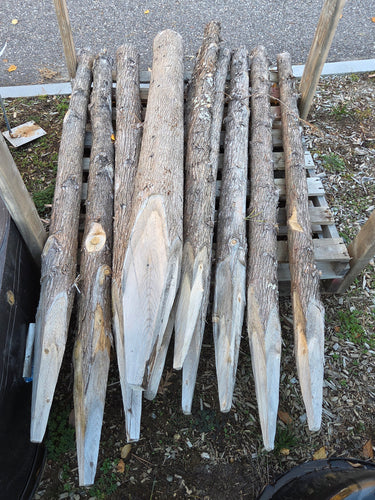 Sharpened Cedar Fence Post 6'