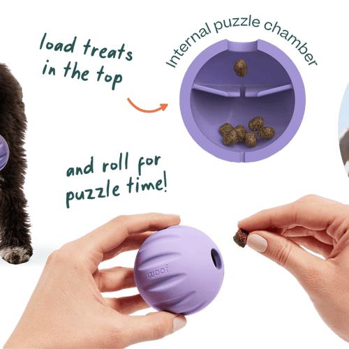 Woof Flyball 3 Pack Dog Toy