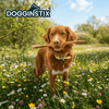 Dogginstix Bully Sticks 12 Jumbo - Case of 25