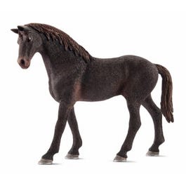 English Thoroughbred Stallion