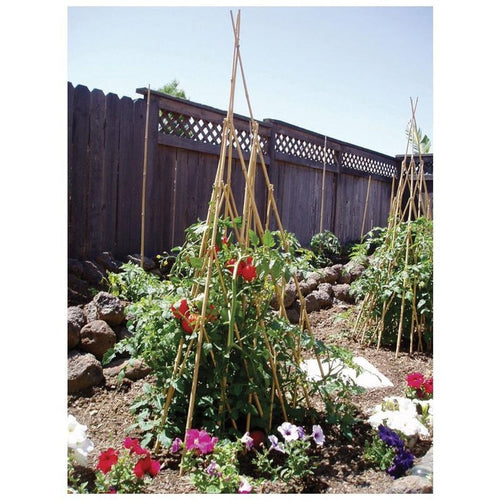 BAMBOO TEEPEE TRELLIS