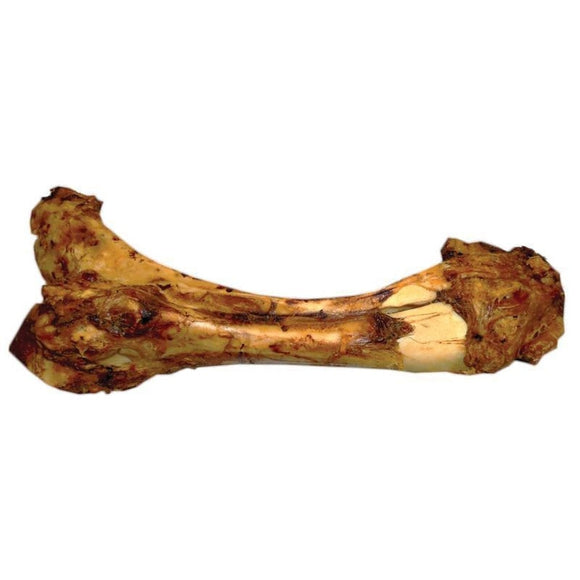 Nature's Own Meaty Dino Bone Dog Chew (20 inch)