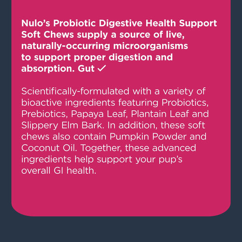 Nulo Functional Probiotic Digestive Health Support Soft Chew Supplement for Dogs