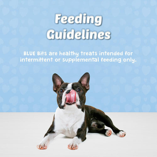 Blue Buffalo Bits Savory Salmon Natural Soft-Moist Training Dog Treats