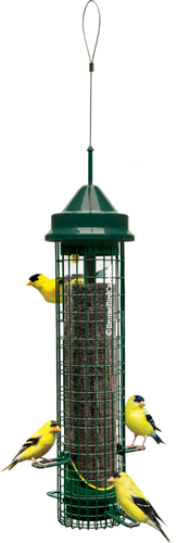 Brome Bird Care Inc Squirrel Buster Finch Bird Feeder