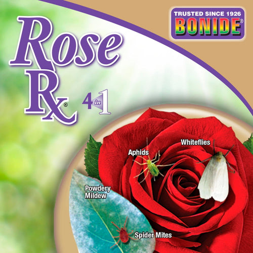 Bonide Captain Jack's Rose Rx 4-in-1 Ready-To-Use Fungicide, Insecticide (32 oz)